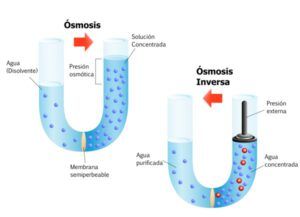 si quieres saber que es la osmosis de una manera fácil, aquí encontrarás la explicación
