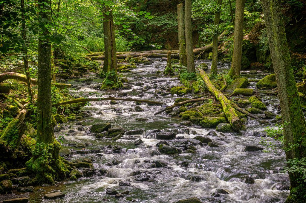 Un río por el que va surcando agua de calidad y en el que dará lugar la ósmosis. Si quieres saber más sobre que es la ósmosis y la ósmosis inversa, entra y encuentra una explicación diferente a lo que estás acostumbrado o acostumbrada.